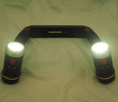 Sealife Dragon 2000 Duoset